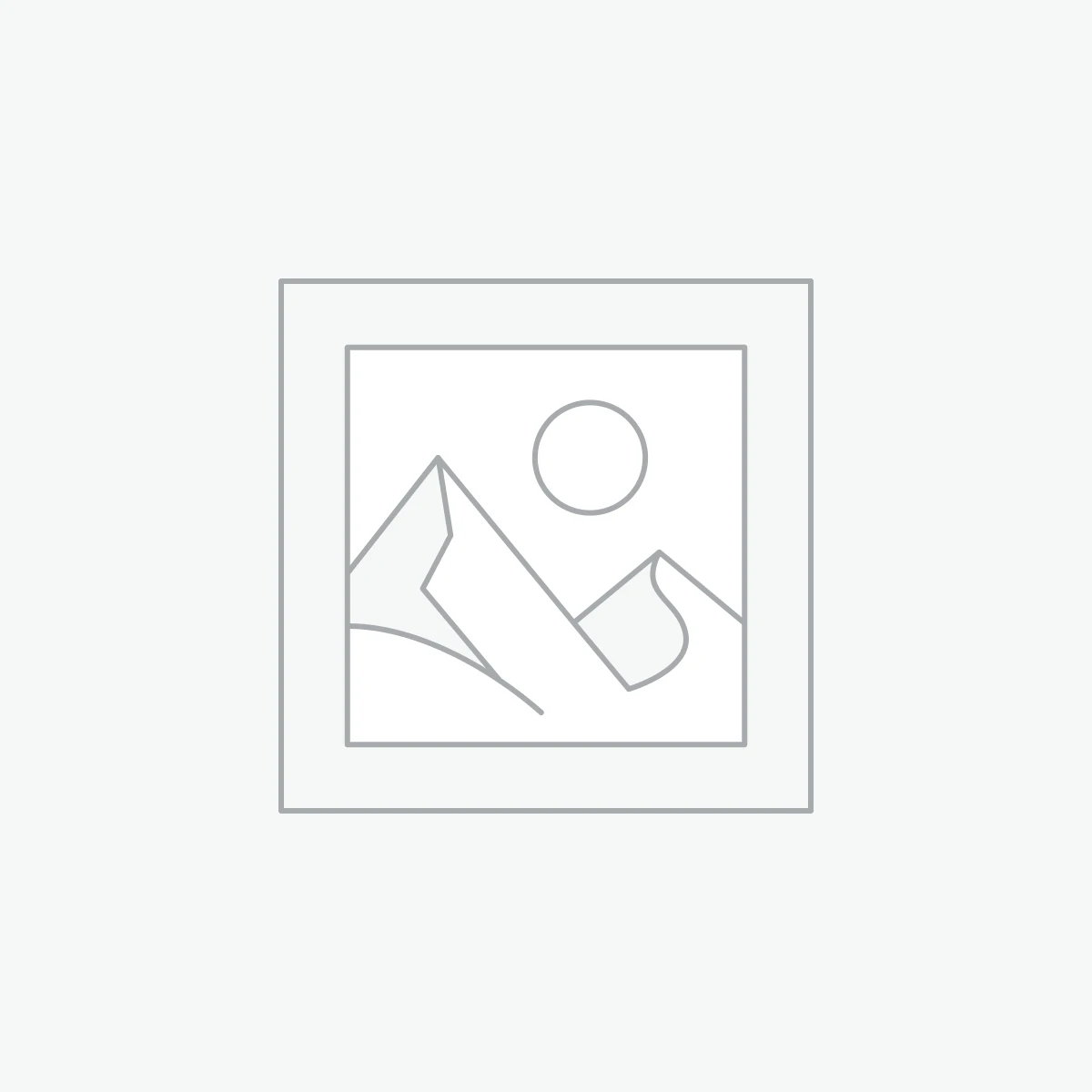 Shish Taouk Wrap of broodje